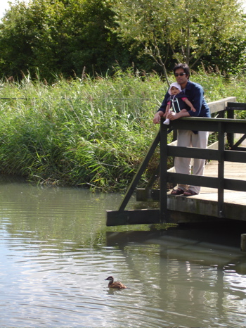 27 august ducks 1.jpg